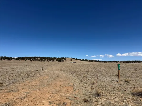 205 Cheyenne Trl, Hartsel, CO 80449