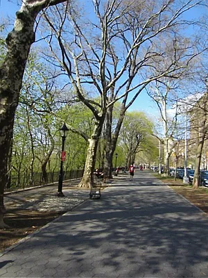 Rented by Bohemia Realty Group | media 22