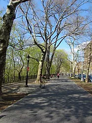 Rented by Bohemia Realty Group