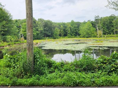 Bogg Lane, Lebanon, CT, 06249
