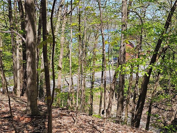 4th image of 613 E Lake Rd Lot 9