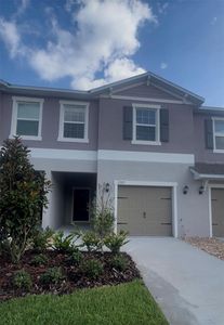 17257 Southern Haven Dr, Wimauma, FL, 33598