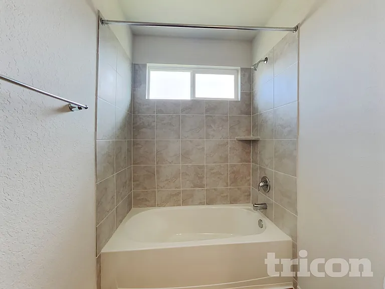 15406 Shortwing — Photo 24