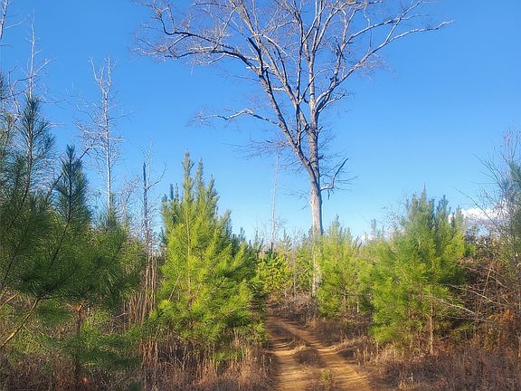 2nd image of 0 Brownin Rd