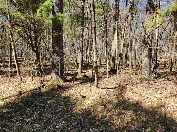 6165 E 92nd St, Newaygo, MI 49337