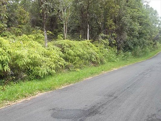 5th image of Lehua St Lot 7074