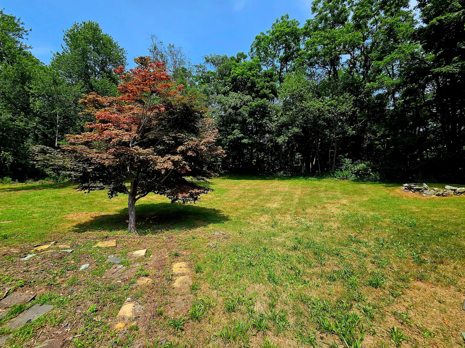 3 bed, 2500 sqft, $3,950 — Photo 3