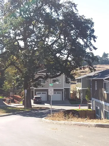 1146 Mariel Pl S Photo 1