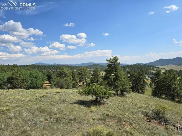 71 Elkhorn Cir, Florissant, CO 80816