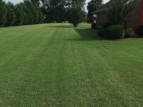 5th image of 234 Elna Dr