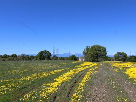 3rd image of 19073 River Downs Way