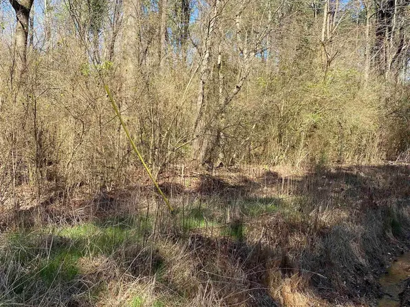 0 Wolf Creek Rd #0, Pell City, AL 35125