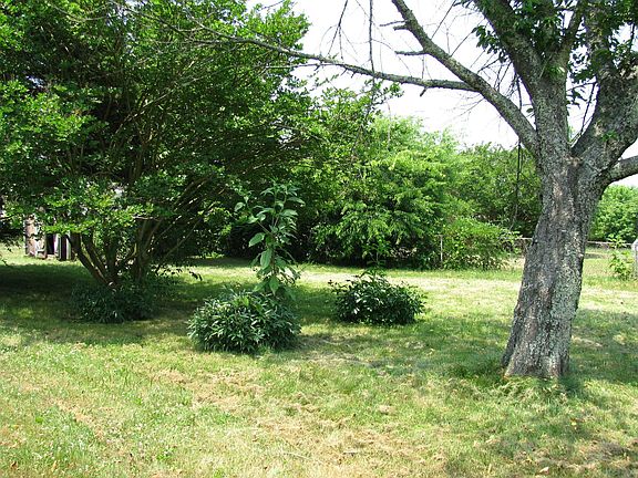 Huge private backyard 