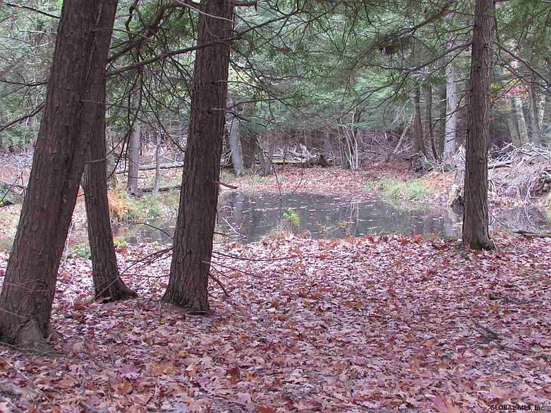 2nd image of Off COTTON HILL Road