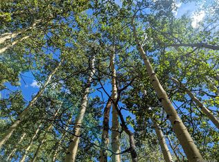 LOT 5387 Adams Rd, Fort Garland, CO 81133