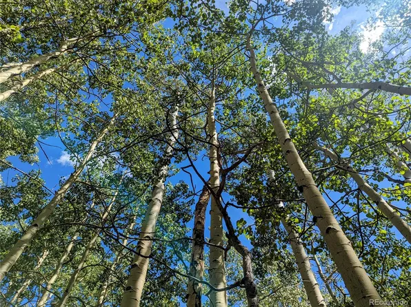 Lot 5387 Adams Rd, Fort Garland, CO 81133