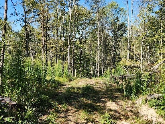 3rd image of County Road 7