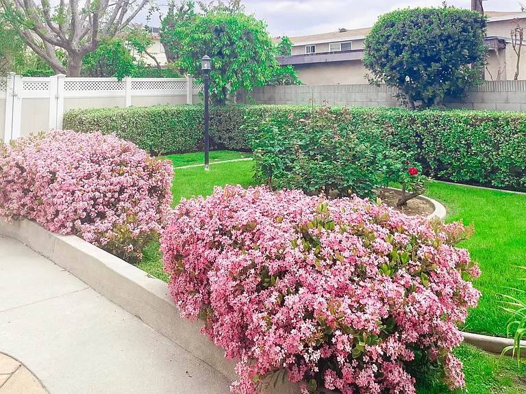 503 N Alhambra Ave — Photo 39