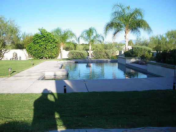 Back Yard Facing East