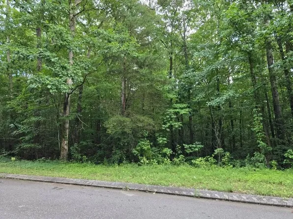 144 Lower Brow Rd Lot 144, Dunlap, TN 37327