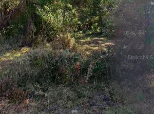 S Tampa Ave Lot 26, Orlando, FL 32839