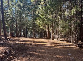 5497 Pine Ridge Dr, Grizzly Flats, CA