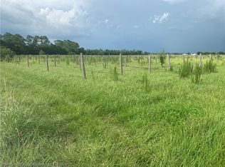 9236 Muscadine Dr, Sebring, FL 33875