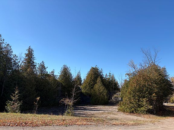 5th image of 237 Tower Rd
