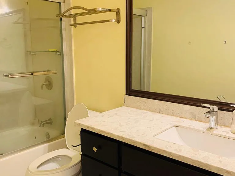 Guest bathroom
