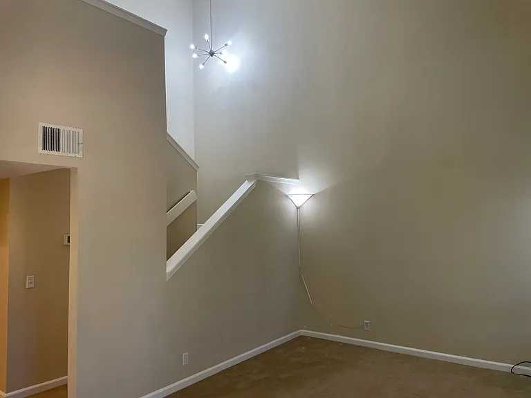 231 Via Pinada Ln — Photo 19