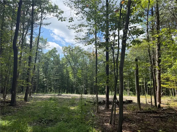 LOT 6 Prospect Rdg Lot 4, Horseheads, NY 14845