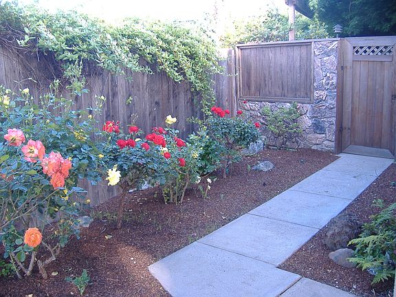 Side yard