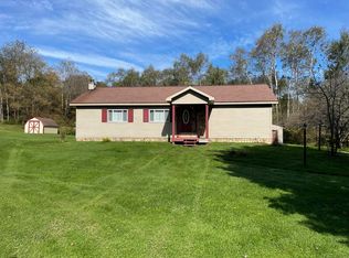 161 Larkspur Ln, Falls Creek, PA 15840