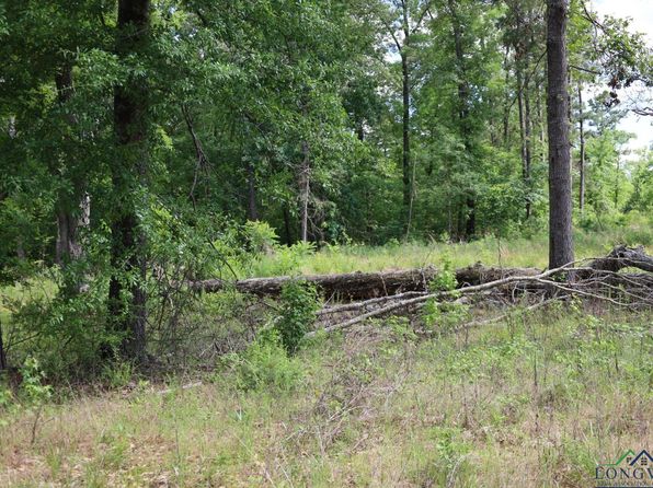 Forestwood Dogwood, Gilmer, TX 75645