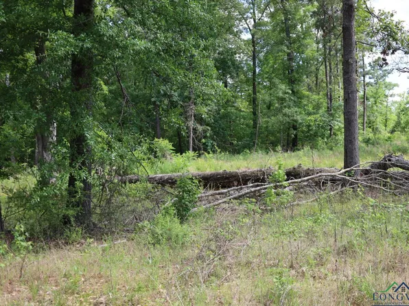 Forestwood Dogwood, Gilmer, TX 75645