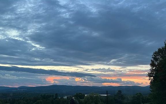 View from LR window