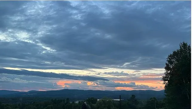 View from LR window - Hilltop Rd