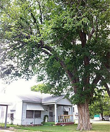 2nd image of 4229 Jerry Ln