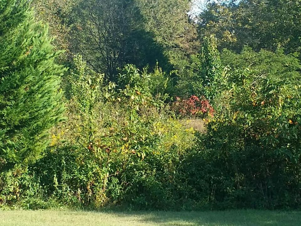 2nd image of 461 Old Dandridge Pike