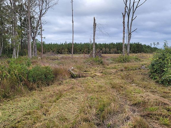 5th image of 88 Rogers Break Rd