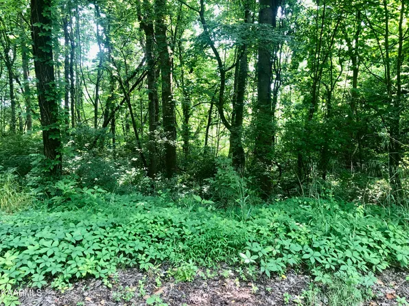 Opal St, Tazewell, TN 37879