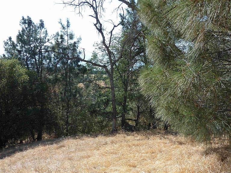 2nd image of 29201 Deertrail Dr