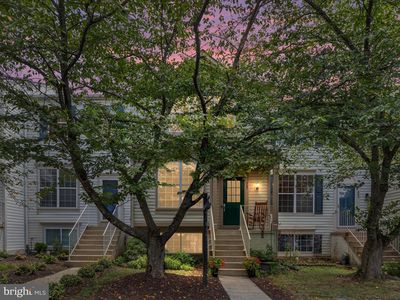 347 Coltsridge Ter NE, Leesburg, VA, 20176
