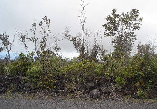 2nd image of Catamaran Ln Lot 4
