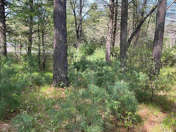 4th image of Deer Ln #2