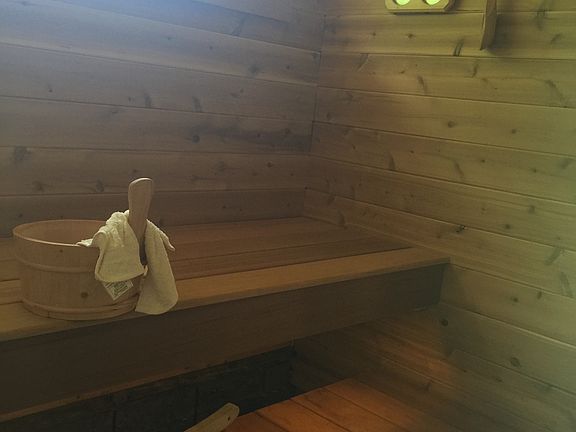Hot Sauna Room