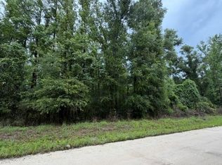 0 NE 312th Ave, Old Town, FL 32680