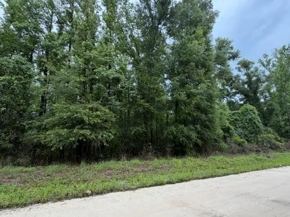 0 NE 312th Ave, Old Town, FL 32680
