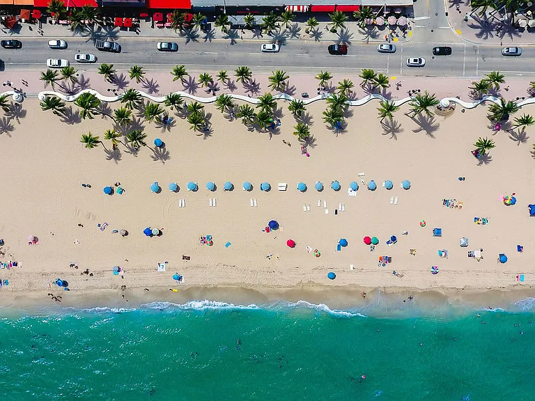 Scenic Palm-Lined Coast Just Minutes from Pearl Flagler Village