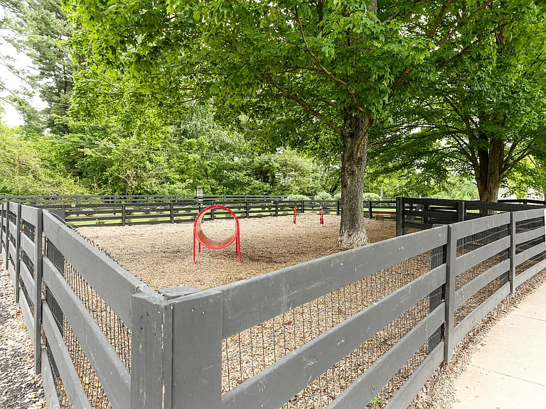 SpringHouse — Photo 40